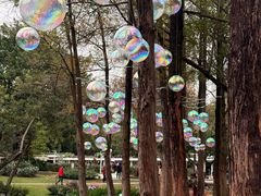 -人民公园(罗湖区)