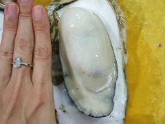 -蚝专家(北滘店)