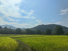 -塔川景区