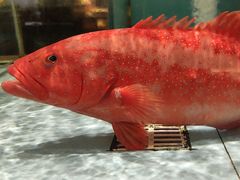 -阿伟海鲜楼·福建菜(延寿店)
