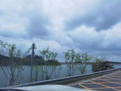 -长沙黑麋峰国家森林公园