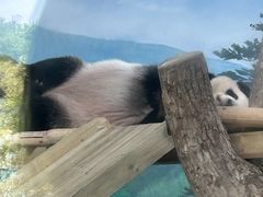 -南宁市动物园