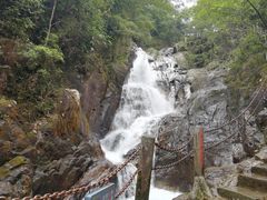 -九龙江国家森林公园