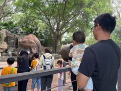 -深圳野生动物园