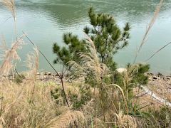 -羚羊峡古栈道森林公园