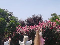 -武昌江滩