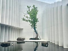 -中国宣纸文化园