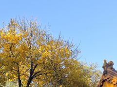 -文宇奶酪店(南锣鼓巷店)