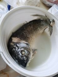 -沈阳市妇婴医院