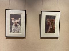 -淮国旧H22·中古店