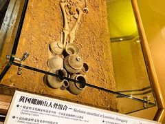 景点-湖北省博物馆