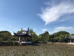 -无锡蠡湖国家湿地公园-蠡园