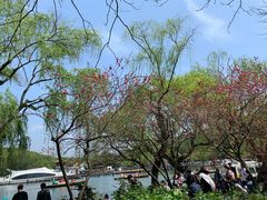 -苏堤停车场