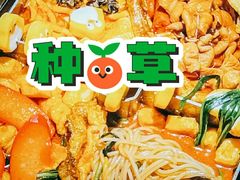-九鼎轩脆毛肚火锅(南京东路店)