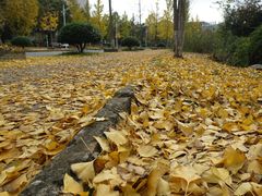 -浙江农林大学(东湖校区)