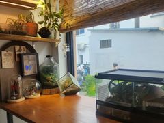 -吉丁鸟咖·异宠·寄养