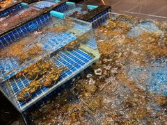 -东海怡品海鲜豆捞(星街坊店)