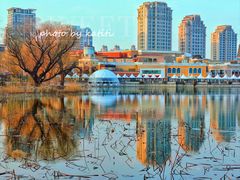 -朝阳公园