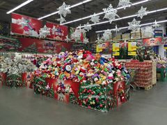 -麦德龙(郑东店)