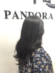 -东方麒麟·潘多拉SALON