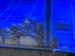 -义乌之心城市生活广场