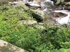 -西岭雪山大飞水景区