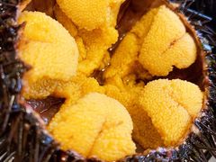 生海胆-海胆小馆(东北水饺·春柳店)