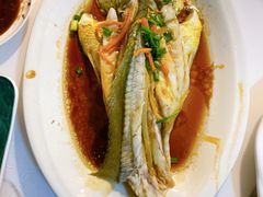 清蒸黄瓜鱼-三姐妹·海鲜大排档