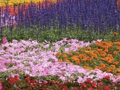 -眉山湿地公园(东坡区)