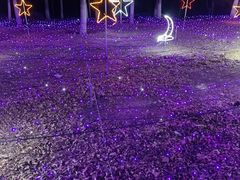 -青龙湖公园