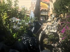 -疯狂屋