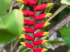 -西双版纳傣族园