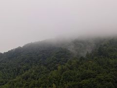 -大余丫山旅游度假区