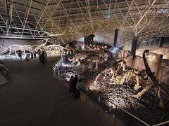 -世界恐龙谷景区