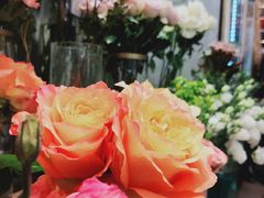 -BOBLOOM花店(宝龙旭辉广场店)