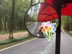 -黄海国家森林公园