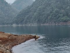 -黄山太平湖风景区