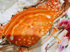 -天津金元宝滨海农产品交易市场(共发大道)