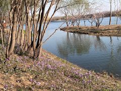 -东郊湿地公园