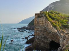 -杨梅坑