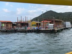 -蓝湾碧波·老字号·疍家非遗海上餐厅