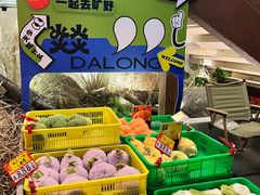 -大龙燚·旷野鲜火锅(广州首店)