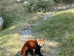 -武汉动物园