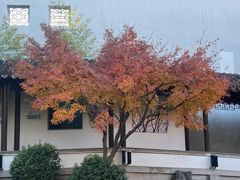 -秋霞圃