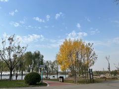 -水西公园