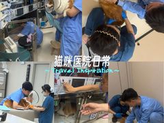 -御宝贝24h宠物医院·转诊中心·CT核磁血透中心(厦门总院)