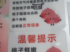 -老袁家蜜桃农场·阳山水蜜桃