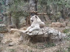 -红山森林动物园