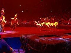 -珠海横琴长隆《卡卡虎奇遇记》