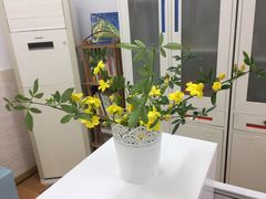 -锡师附小学(学前街校区)